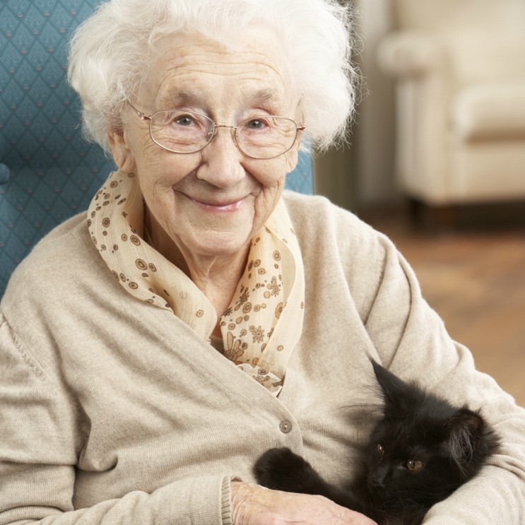 A live-in carer supporting a client at home