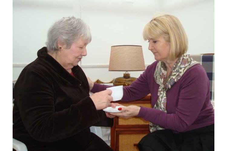 A carer supporting a client at home