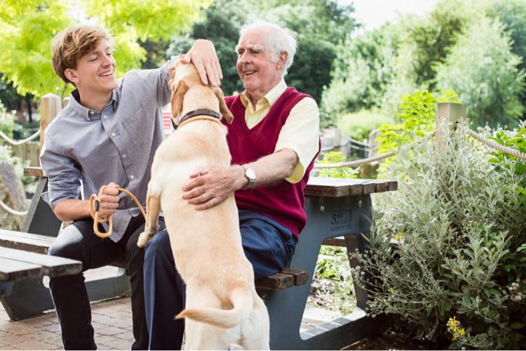 Mental Health Support at home