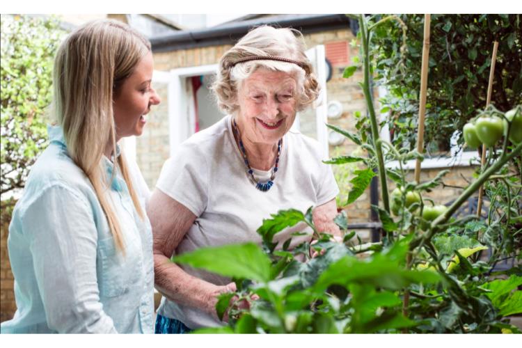 Multiple Sclerosis Care at home