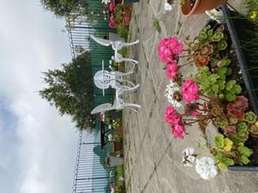 Almond Court Care Home