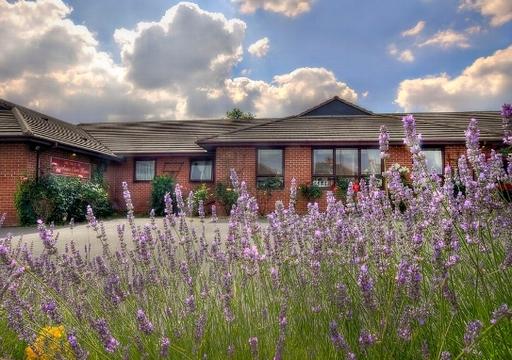 The Meadows Care Home