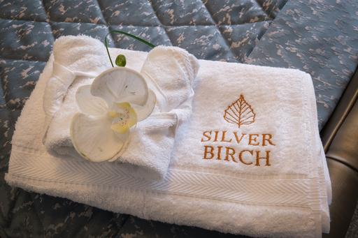 Silver Birch Care Home
