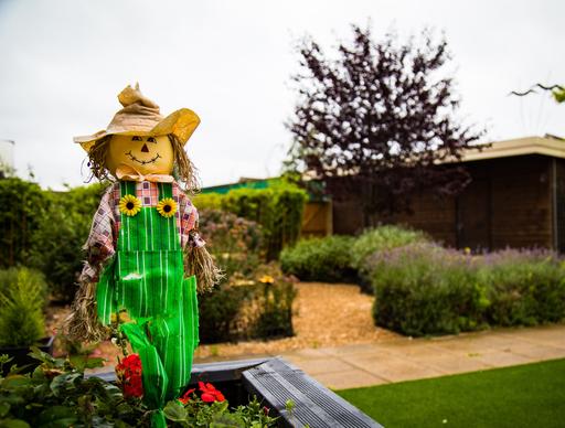Willows Care Home