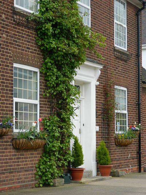 Royal Court Care Home
