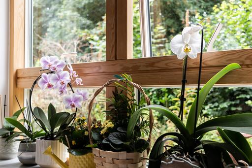 Rusthall Lodge Care Home
