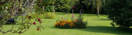 Pembroke Care Ltd trading as Hollyland Lodge
