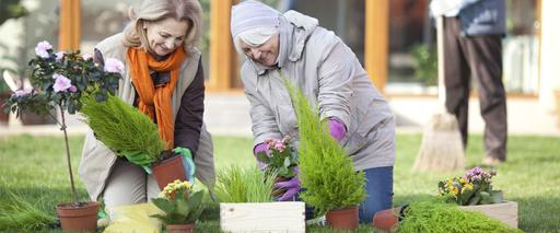 Mulberry Court Care Home