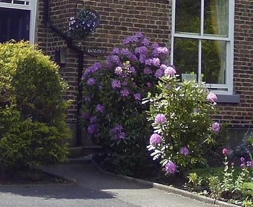 Mulgrave House Nursing Home