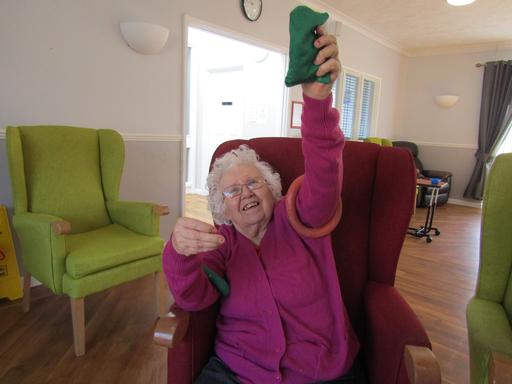 Meadow View Care Home