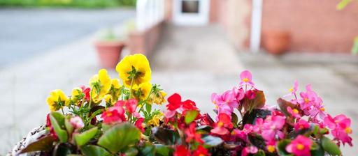 Mahon Hall Care Home