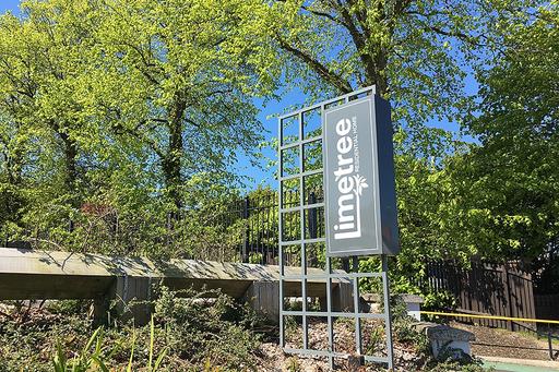 Limetree