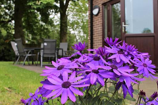 Keele Crescent care home