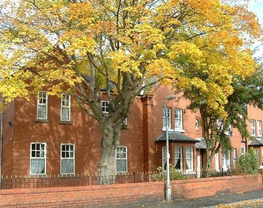 Hollybank Care Home Ltd