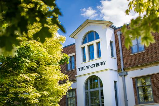 Westbury Nursing Home And Westbury Garden Suite