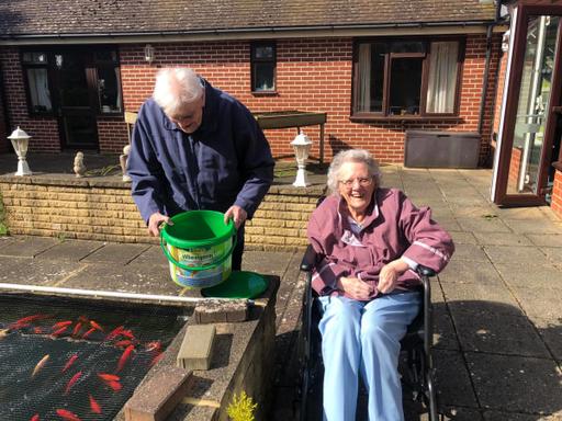 Green Willow Care Home