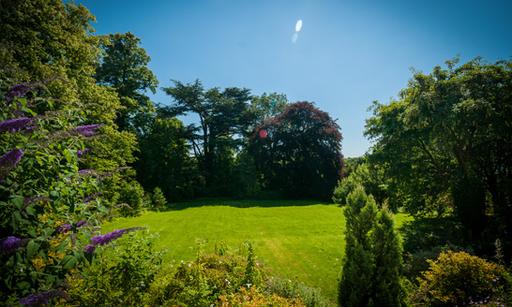Cedar Lawn
