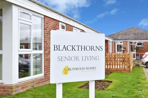 Blackthorns
