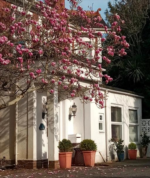 Aveland Court Care Home