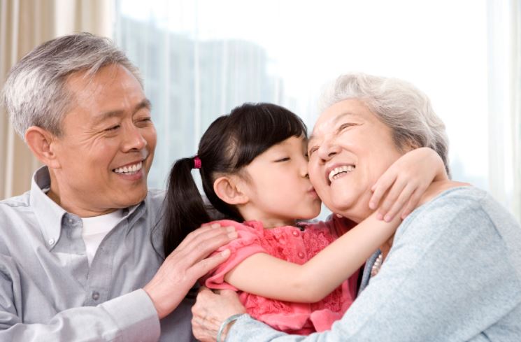 A Comprehensive Guide to Care for the Elderly