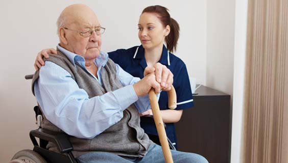 Companionship Care in Plymouth